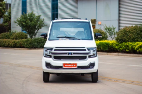 Haibao Ruiqi RHD & LHD Electric Vehicle New Energy Hatchback EV Car